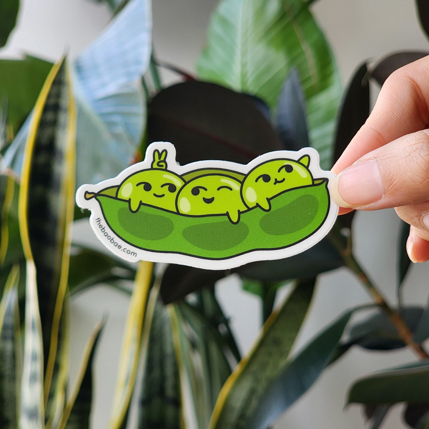 Edamame Soybeans Peas in a Pod Sticker